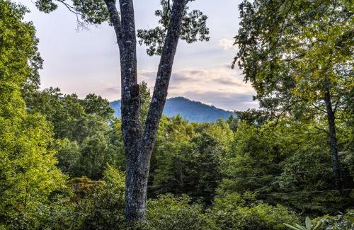 Highlands House | The Treehouse