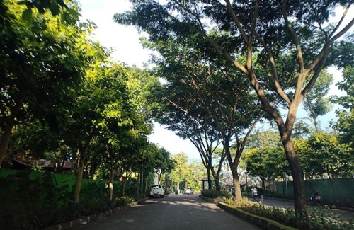 Malang House | The Valley Guesthouse