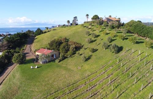 Onetangi Ski Chalet | The Vineyard Cottage - Stay Waiheke