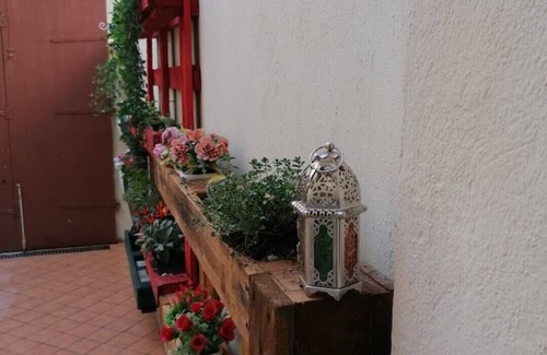 San Damiano dʼAsti Apartment | The voltine, detached house in the historic center