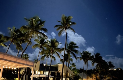 Estate Chocolate Hole and Great Cruz Bay Apartment | The Westin St John VILLA 3 bedroom - Bay Vista