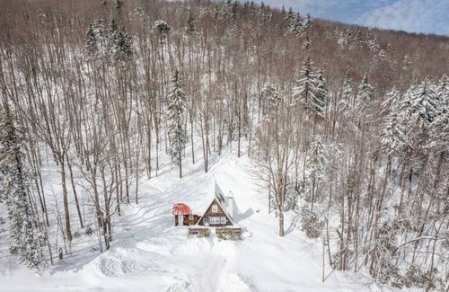 West Townshend Cabin | The Windham Hill A-Frame - Close to 3 Ski Resorts!