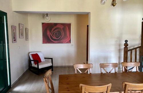 Agia Marina Apartment | Themis apartment