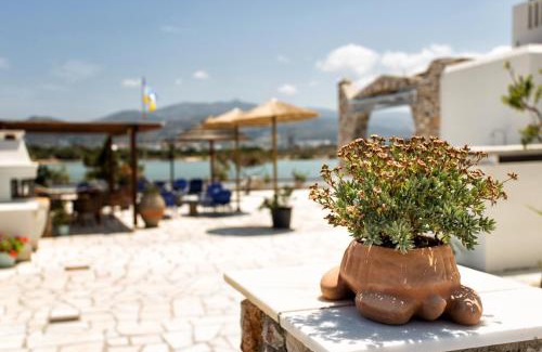 Antiparos Apartment | Theologos Beach