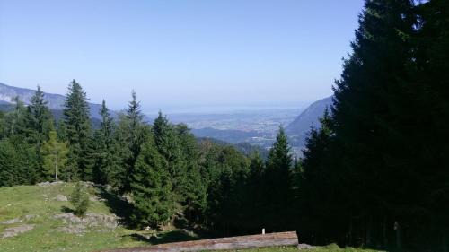 Reit im Winkl Hotel | Theresenhof