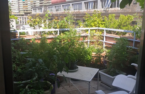 Coulouvreniere Rois Apartment | Three rooms with private bath in a lovely den in Geneva's centre