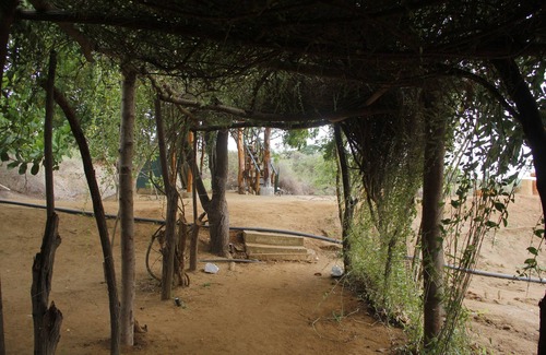 Palatupana Other | Thumbaya Resort Yala