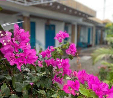 Central Mui Ne Beach Hotel | Thuy Tien Mui Ne Homestay BBQ Free