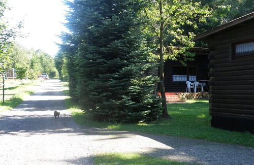 Halenfeld Ski Chalet | Tidy furnished wooden chalet near the forest