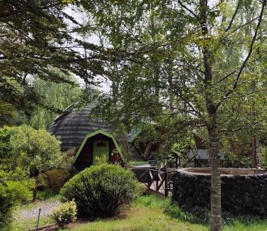 Loncoche House | Tierra de Domos