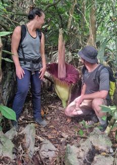 Bukit Lawang House | Tiga dara guest house jungle trekking
