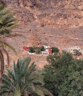 Amtdi Bed & Breakfast | Tigmi Bulbul