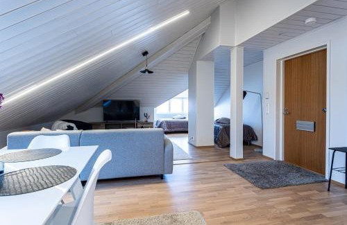 Downtown Kuopio Apartment | Tilava kattohuoneisto ydinkeskustassa, edullinen parkkipaikka autolle lähellä