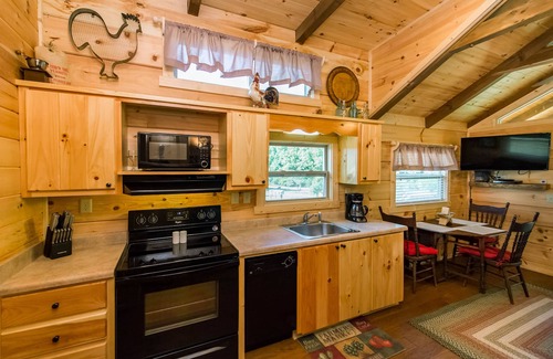 Mill Spring Cabin | TINY CABIN IN TRYON NC - 3 MILES TO TIEC- PET FRIENDLY