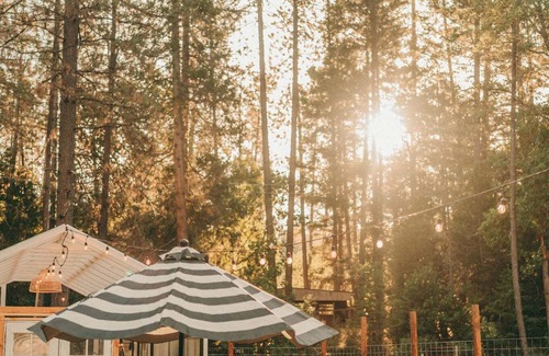 Grants Pass House | Tiny Cabin Retreat w/Hot Tub & Alpacas Rescue