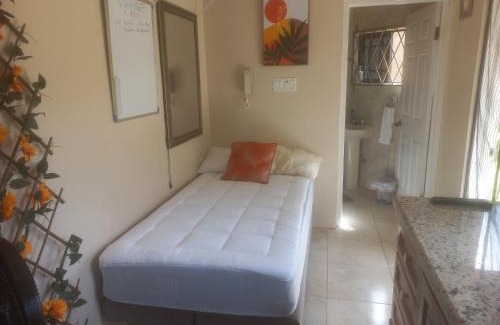 Mandeville Apartment | Tiny home- likle but wi tallawah