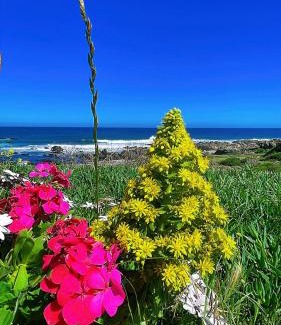 La Ligua Other | tiny house frente al mar