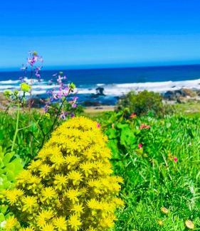 La Ligua Apartment | tiny house frente al mar