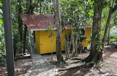 Cocles House | Tiny jungle house, few minutes from the beach