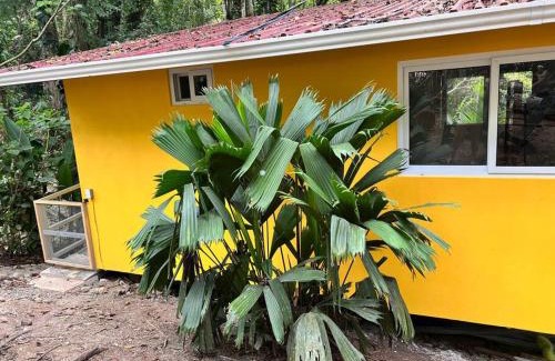 Cocles House | Tiny jungle house, few minutes from the beach