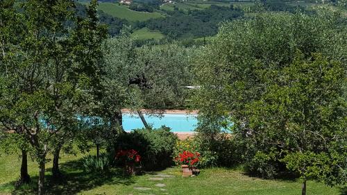 Certaldo Villa | Tognazzi Casa Vacanze - Villa San Martino