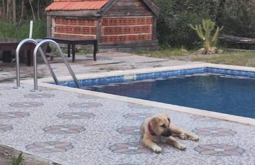 Ortaca House | Togo iztuzu Stonehouse-3nn