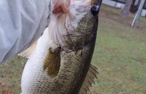 Hemphill House | Toledo Bend waterfront Great for family vacation, fishermen or hunter's.