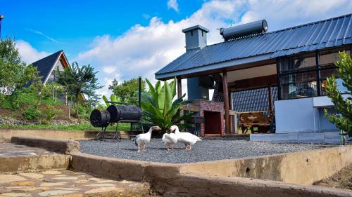 Nanyuki Villa | Topi Cottages