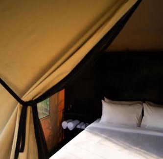 Toya Bungkah Other | Toteme Glamping and Hot Spring Kintamani