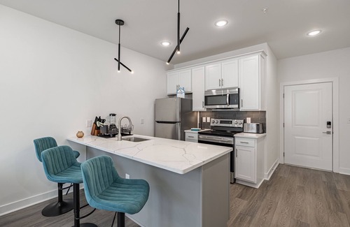 Mosby Apartment | Tourist Home of Richmond 1 bedroom apartment - Church Hill North TH05