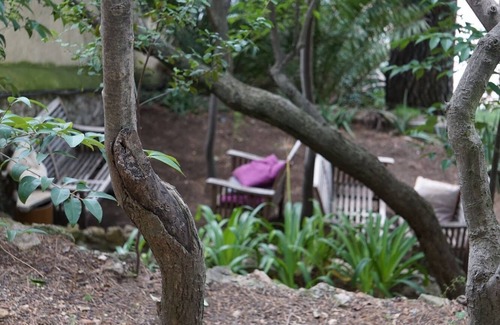 El Putget i Farro Apartment | Tower of the Secret Gardens
