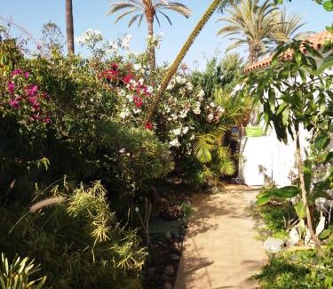 Maspalomas House | Très BEAU BUNGALOW,JARDIN TROPICAL, RENOVATION ETE 2020