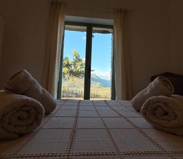 Granace House | Tradition Corse et Modernité Bergerie Anto'Micheli
