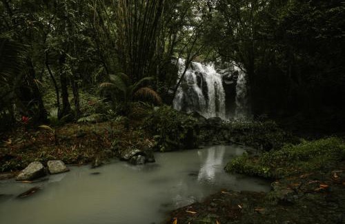 Selemadeg Villa | Trails, waterfalls & chill in staffed jungle lodge