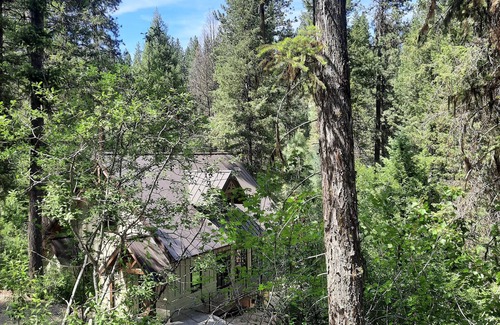 Garden Valley House | Tranquil Treasure House tucked in the trees of Terrace Lakes golf resort w/pool
