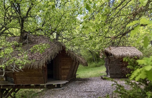 Sigonce Cabin | Tree House-Ensuite with Shower-Cabane dans l'arbre