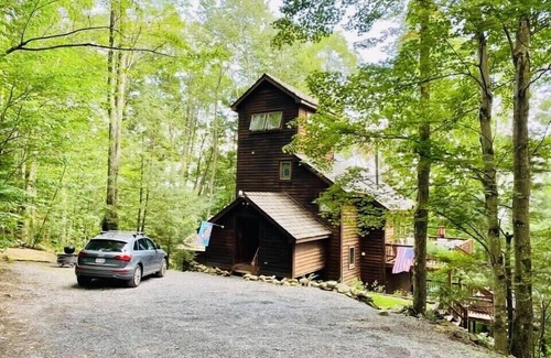 Davis House | Tree House, Hot Tub, Cozy ,Wifi, Secluded, Serene,View, Central Location