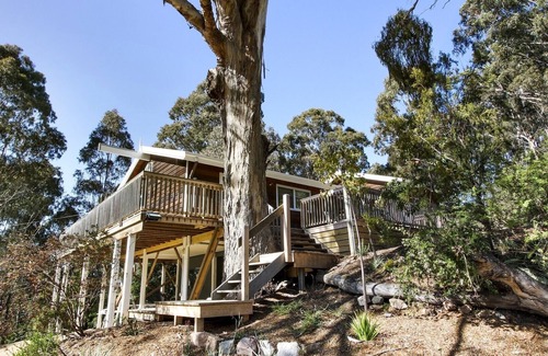 Metung House | Treetop House in Metung