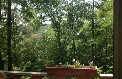 Hendersonville House | Treetops is a true mountain get-a-way - it's paradise!