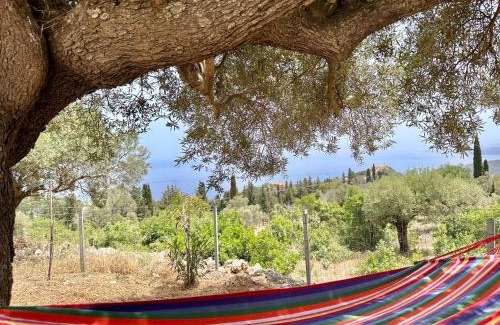 Skinaria Villa | Trikoupis Villa