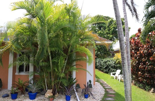 Nassau Apartment | Tropical Haven Retreat Full service Queen villa