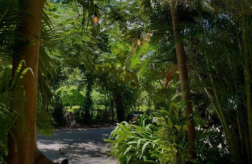 Samana House | Tropical hostel with community vibe, 5 minutes from El Valle beach in Samaná.
