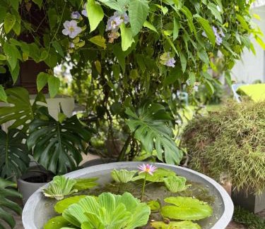 Negombo Bed & Breakfast | TROPICANA NEGOMBO boutique hotel
