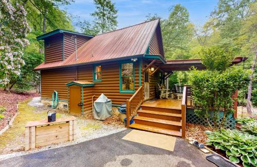 Mineral Bluff House | Trout House