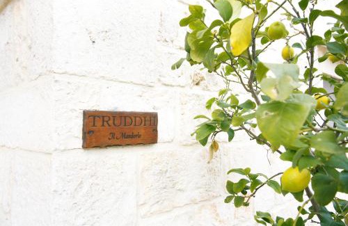 Locorotondo Apartment | Truddhi Casa e Cucina di Puglia