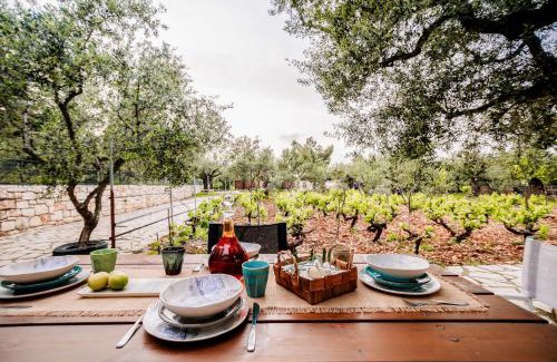 Agia Marina House | Tsantri Olive Grove residence