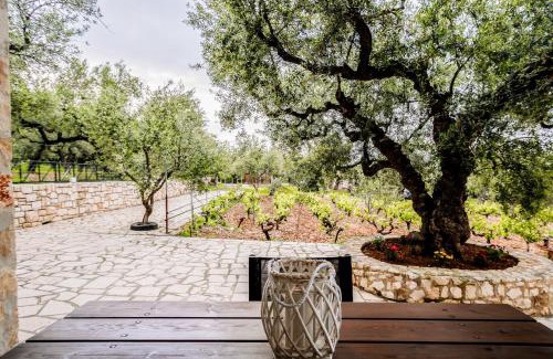 Agia Marina House | Tsantri Olive Grove residence