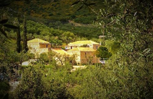 Laganas Bed & Breakfast | Tsivouli Accommodation