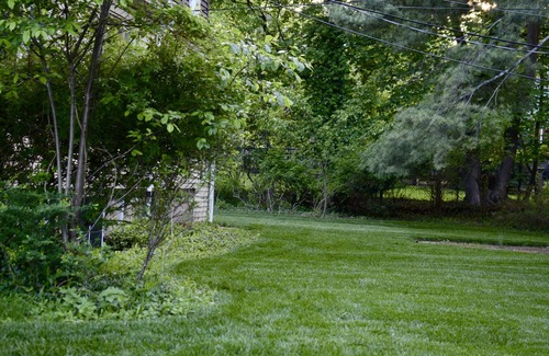 Montclair House | Tucked Away Family Friendly Home - Mins to Parks and Shops - Only 25 min to NYC
