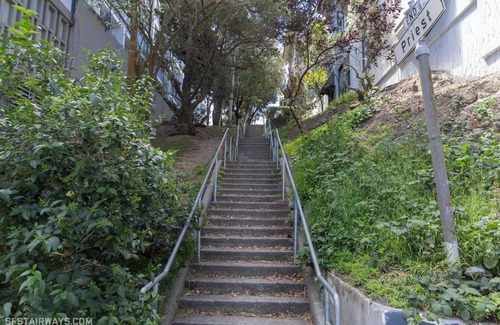 Nob Hill Apartment | Tucked away garden-facing studio with sundeck on a tree-lined alleyway of stairs
